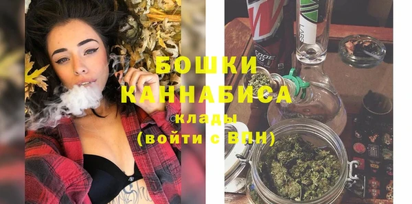 тгк Новозыбков