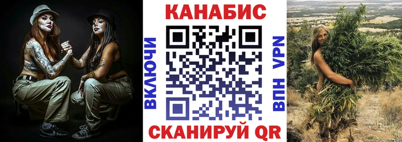 Купить где  Киселёвск  Бошки марихуана ГИДРОПОН 
